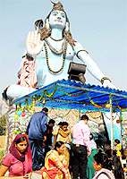 Devotees throng a temple to pay obeisance at a Shiva temple in Jalandhar on Sunday; an artiste, holding a snake and dressed as Lord Shiva, during the Maha Shivratri celebrations in Jalandhar on Sunday