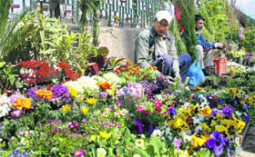 Flowers on sale in Srinagar on Sunday.