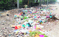 A garbage dump at Majitha Road in Amritsar. A Tribune photo 