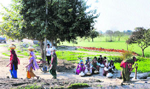 Women carry water in pots from a hand pump at a village in Sonepat.