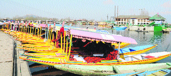 Shikaras lined up at the Dal Lake in Srinagar. Tribune photo: Amin War 