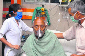 Residents of Jalandhar who have been bitten by stray dogs recuperate in various hospitals.
