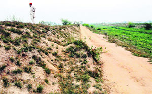The spot where ASI Kulbir Singhs body was found at Jeobala village. 
