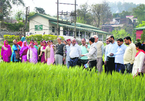 Farmers on the occasion of Tilhan Diwas at the Shivalik Agricultural Research and Extension Centre in Kangra on Tuesday. 