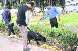 Police personnel carry out security checks at the PGI in Chandigarh on Thursday.