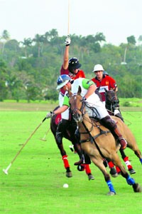 The British revived polo in India