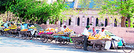 Fruit vendors line up on the Circular road in Amritsar on Sunday