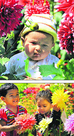 Children play with flowers at the flower show organised by Vajra Corps in Jalandhar on Sunday.