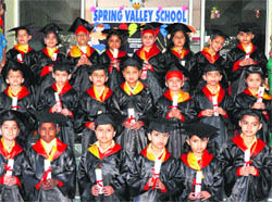 Students of Spring Valley Public School during their farewell function at Mohali.