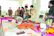 Visitors have a look at handicraft items in an exhibition at Maharani Luxmi Bai College for Women, Bhiwani Rohilla, in Hisar.
