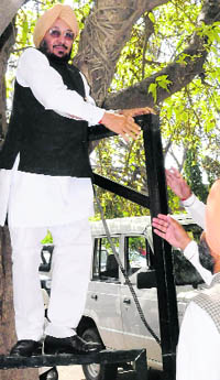 Congress leader Lal Singh climbs a tree to deliver a speech.