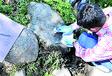 A forensic expert collects material from a spot near Chamunda in Kangra on Thursday