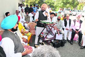 Tribune photo: Parvesh Chauhan