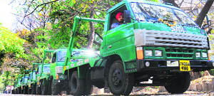 The new dumper trucks at Sector 17 in Chandigarh. 