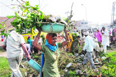 Followers of Dera Sacha Sauda participate in a cleanliness drive in Karnal on Sunday. 