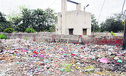 Garbage dumped at a vacant plot near Guru Nanak Pura and near Railway Colony in Jalandhar