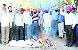 The members of the action committee of the Bathinda thermal plant employees burn an effigy of outside the plants gate on Monday.