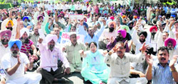 Teachers stage a protest at Phase VI in Mohali on Monday. A Tribune Photograph