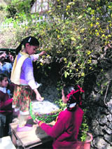 Students of Bal Vidya Mandir pluck flowers to celebrate Phool Dei in Mussoorie.