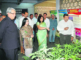 Vice-Chancellor KS Khokhar (left) shows to MP Shruti Choudhry  researches done in the CCSHAU at Hisar on Sunday. 