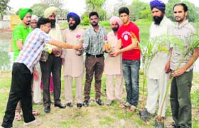 Shital Parkash distributes sapling to residents on the eve of Holi in Sudhar village