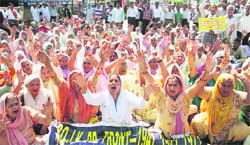 Members of the PoK Refugee Front protest in Jammu on Saturday. A Tribune photograph