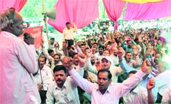 Class IV employees of the state government hold a demonstration in support of their demands in Dehradun on Monday. Tribune photo: Vinod Pundir