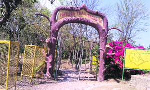 The Sadarat Nature Trail in Ropar. 