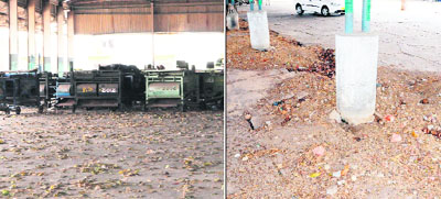 Litter strewn at the Bhagtawala grain market; and (right) rats have dug the ground around the pillars at the site in Amritsar. 