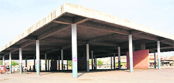 A view of the grain market in Bathinda. Though wheat procurement season officially began in Bathinda on Tuesday, farmers have not begun harvesting yet