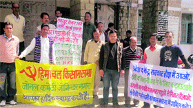 Members of the Himachal Kisan Sabha protest against the wildlife and stray cattle menace at Jogindernagar on Tuesday.