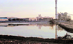 A view of the BCL Distillery in Machhana village