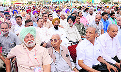 The gathering at the venue of the Anna Hazares rally comprised mostly of elderly persons