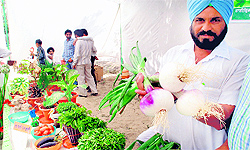 A farmer shows his yield of onion at Kisan Mela in Bathinda on Wednesday