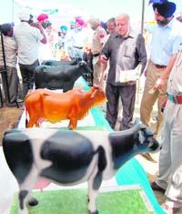 Dr MS Swaminathan looks at an exhibition at the Kisan mela at Firvaryan village, near Fatehgarh Choorian, on Thursday. Photo: Sameer Sehgal