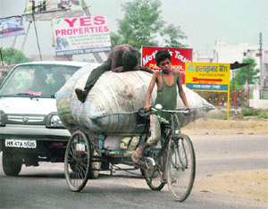These children are aware of their duty to work in order to earn a living at Dharuheda township on the Gurgaon-Rewari road.