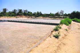 The spot from where the soil was dug up during the construction of a sewerage plant near Gate No. 7 of Punjab Agricultural University in Ludhiana