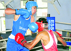 Players in action at the newly inaugurated boxing ring, which was handed over to Sharda Sarvhitkari School, Sector 40, Chandigarh, by a charitable trust, Chandigarh Round Table, on Friday