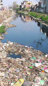 Heaps of garbage in Budha Nullah in Ludhiana is a common sight. 