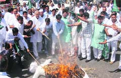INLD activists burn the effigy of Haryana Chief Minister Bhupinder Singh Hooda against the increase in power rates in Gurgaon on Saturday. Tribune photo: Sayeed Ahmed