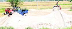 Illegal mining underway near Tarn Taran. photo: Vishal kumar
