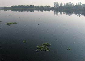 A file photo of the polluted Ghaggar near Ottu in Sirsa