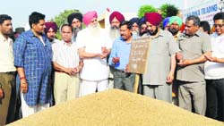 Punjab Mandi Board chairman Ajmer singh Lakhowal and others during the launch of wheat procurement at the grain market in Khanna. A Tribune Photograph