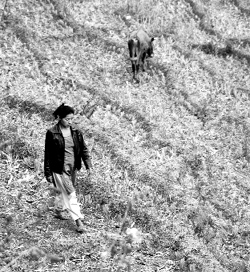 A farmer walks through her field in Gangtok.