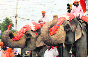 Elephants at the Chetna March being taken out to mark the 300th foundation day of the Dera Baba Banda Singh Bahadur in Jalandhar on Tuesday.