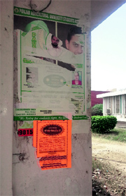Torn posters of PAUSA on a wall on the PAU campus.