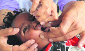 A child being administered polio drops at a booth near Jagraon Bridge in Ludhiana on Tuesday.