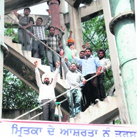 Protesting unemployed youths atop a water tank at Pink Plaza market in Amritsar on Wednesday