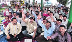 Members of the All J&K Patwari Association stage a protest in favour of their pending demands on the third day of their strike at the DC Office complex in Jammu on Wednesday. Tribune photo: Anand Sharma