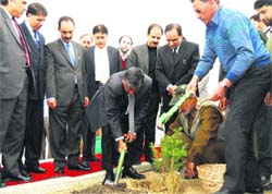 J&K Chief Justice MM Kumar plants a sapling in Srinagar on Wednesday. A Tribune photograph